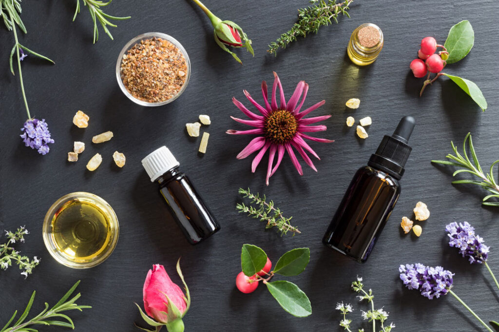 Thyme Essential Oil - The Ultimate Guide